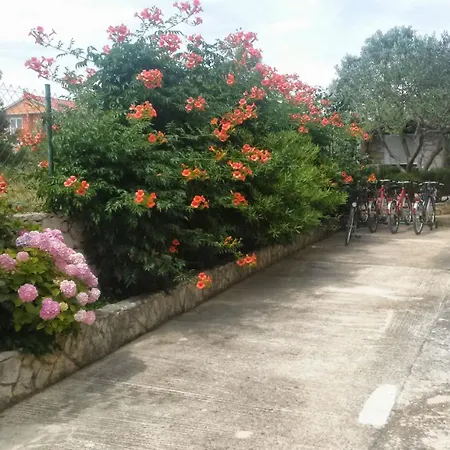 Saric Apartamento *